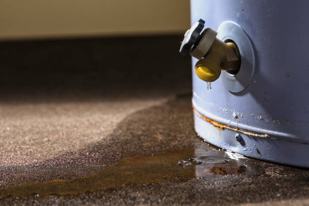 Best Sewage cleanup and water damage restoration  in Lake City, AR