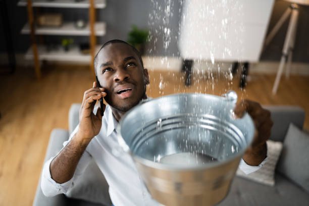 Best Basement water damage restoration  in Lake City, AR