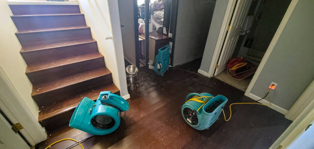 Fire Damage Restoration in Lake City, AR