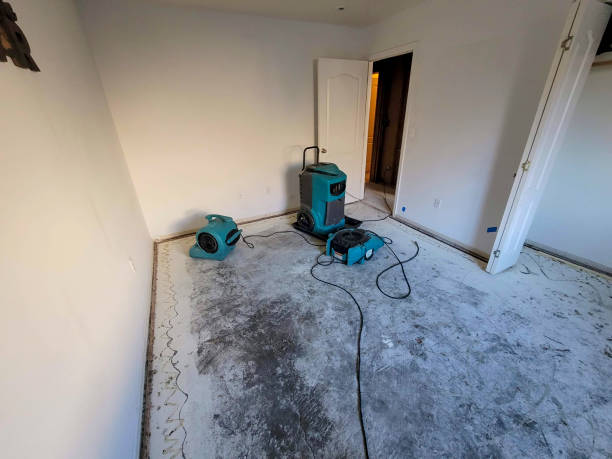 Best Water damage restoration near me  in Lake City, AR