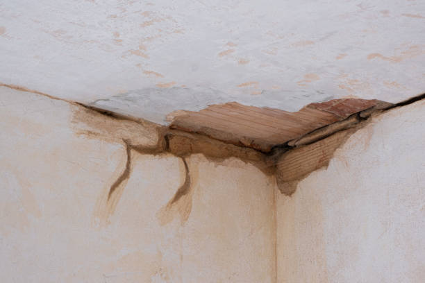 Best Commercial water damage restoration  in Lake City, AR