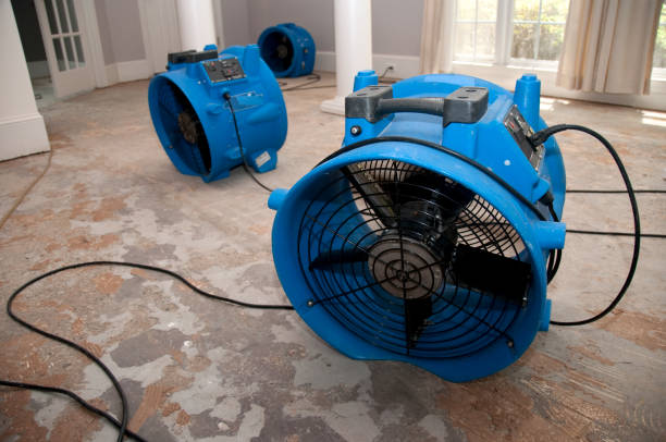 Carpet water damage restoration in Lake City, AR