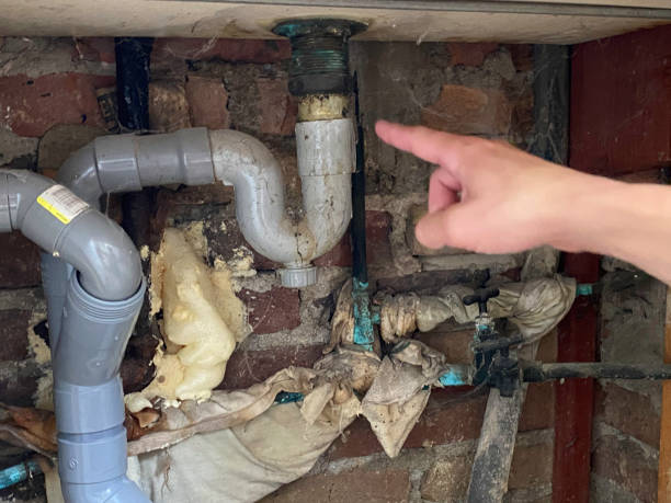Best Ceiling water damage repair  in Lake City, AR