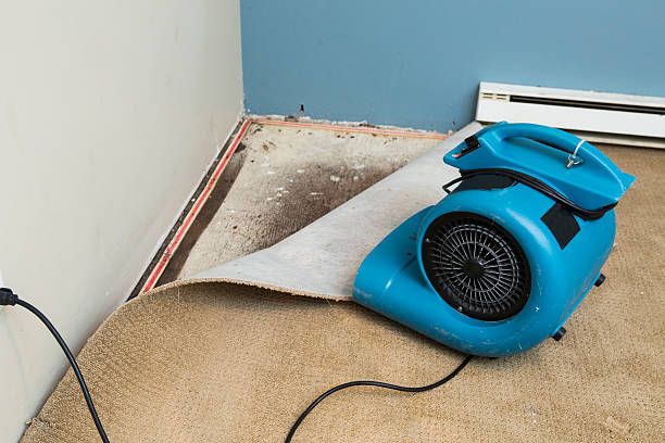 Best Residential water damage restoration  in Lake City, AR